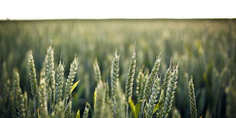 视频会议